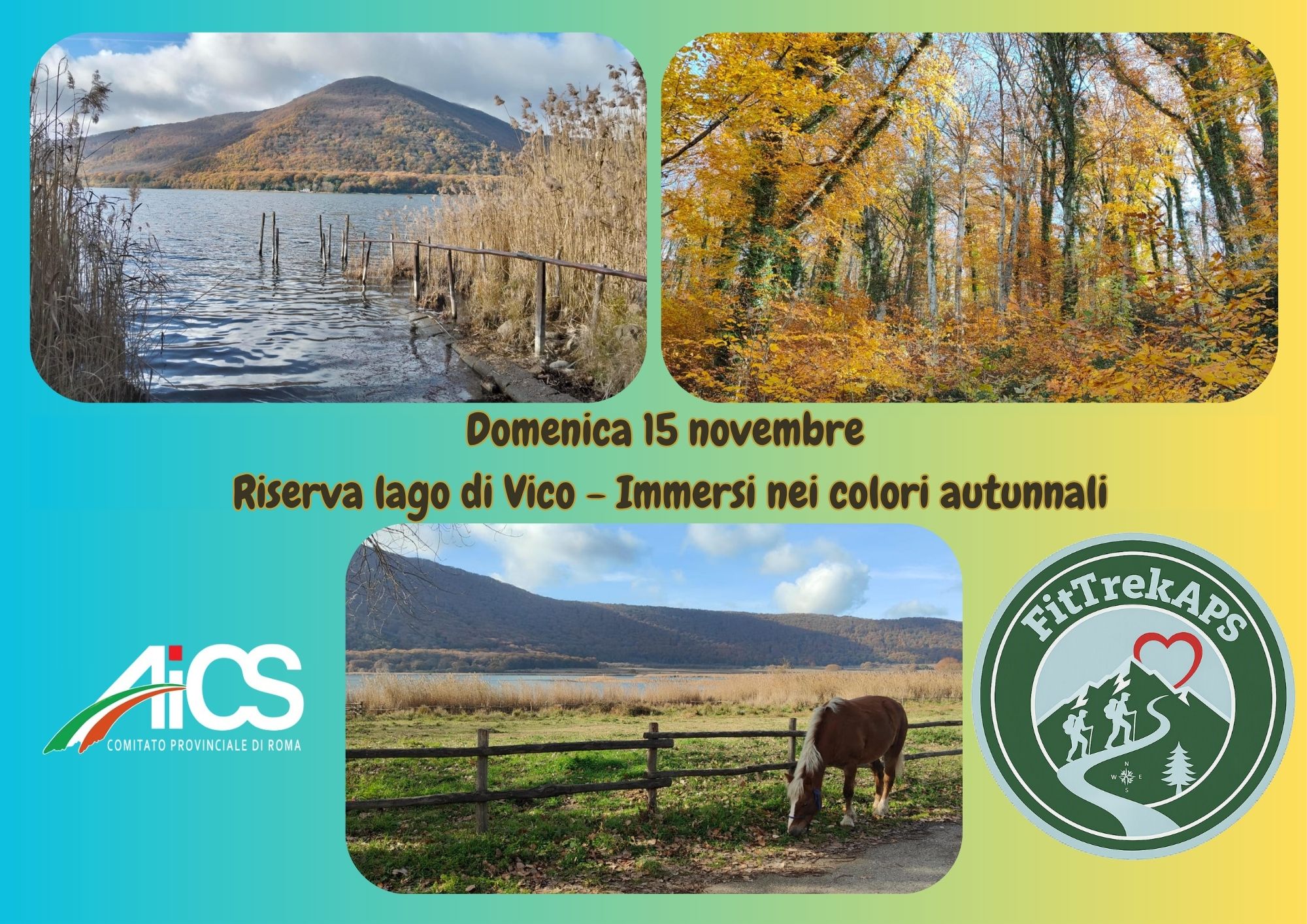 Riserva lago di Vico